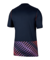 Nike Tottenham Hotspur Trikot Away 2026/2027 Blau F452 - blau