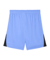 PUMA teamLIGA26 Short Blau F31 - blau