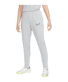 Nike Academy Hose Damen Silber F007 - silber