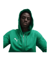 PUMA teamGOAL Casuals Kapuzenjacke Grün F05 - gruen