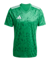 adidas Team Icon 25 Trikot Grün