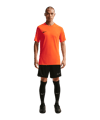 Nike Park VIII Trikot Orange F819