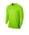 Nike Park Goalie II Torwarttrikot Hellgrün F303 - gruen
