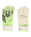 adidas Predator Match Torwarthandschuhe Grün - gruen