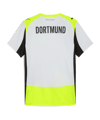 PUMA Borussia Dortmund Authentic Trikot Away Grau F02 - grau