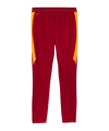 PUMA Galatasaray Istanbul pockets Trainingshose Rot F01 - rot
