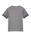 PUMA teamGOAL Matchday Trikot Kids Grau Weiss F13 - grau