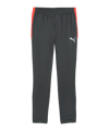 PUMA Individualliga Trainingshose Grau F10 - grau