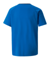 PUMA teamVISION Trikot Kids Blau F02 - blau