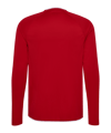 hummel Core 2.0 Trikot Langarm Rot F3946 - rot