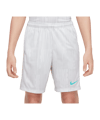 Nike Academy Plus Short Kids Grau F025 - grau