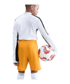 Nike Erling Haaland Academy Short Kids Gelb F739 - gelb