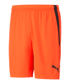 PUMA teamLIGA Short Rot Schwarz F45