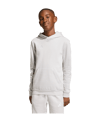 adidas Entrada 26 Hoody Kids Grau