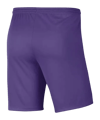 Nike Park 3 Short Lila F507 - lila