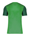 Nike Trophy V Trikot Grün F302 - gruen
