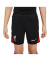 Nike FC Liverpool Trainingsshort Kids Schwarz F010 - grau