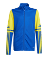 adidas Squadra 25 HalfZip Sweatshirt Kids Blau