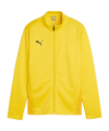 PUMA teamGOAL Trainingsjacke Kids Gelb F07
