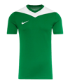 Nike Park Derby IV Trikot Grün F302