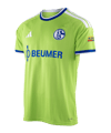 adidas FC Schalke 04 Trikot 3rd 2026/2027 Grün - gruen