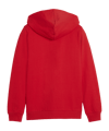 PUMA teamGOAL Casuals Kapuzenjacke Kids Rot F01 - rot