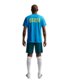 Nike CBF Brasilien Strike Short Grün F381 - gruen