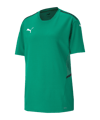 PUMA teamCUP Trikot Grün F05 - gruen
