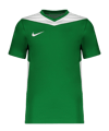 Nike Park Derby IV Trikot Kids Grün F302