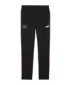 PUMA Schweiz Ftbl Archive Trainingshose EM 2024 Schwarz F14 - schwarz