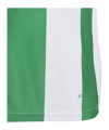 adidas Striped 24 Trikot Kids Weiss Grün - weiss