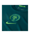 Nike Nigeria Trikot Home 2025/2026 Grün F483 - gruen