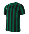Nike Division IV Striped Trikot kurzarm Grün F302