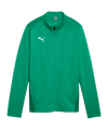 PUMA teamGOAL Trainingsjacke Damen Grün F05 - gruen