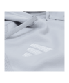 adidas Fortuna Düsseldorf Präsentation Hoody Grau - grau