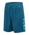 Hummel hmlCORE XK Poly Short Blau F7058