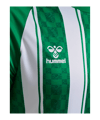 Hummel Match Striped Trikot Grün F6129 - gruen