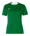 Nike Team Court Trikot Damen Grün F302
