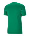 PUMA teamFLASH Trikot Kids Grün F05 - gruen