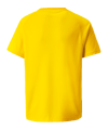 PUMA teamVISION Trikot Kids Gelb F07 - gelb