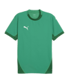 PUMA teamFINAL Trikot Grün Weiss Grün F05