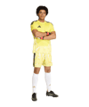 adidas Tiro 26 Torwarttrikot Langarm Gelb - gelb