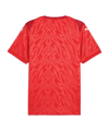 PUMA Trikot Rot F01 - rot