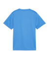 PUMA teamGOAL Trikot Kids Blau F02 - hellblau