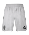 adidas 1. FC Nürnberg Travel Short Grau - grau