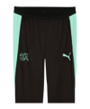 PUMA SFV Schweiz Trainingshose Schwarz F10 - schwarz