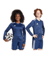 adidas Team Icon 25 Trikot langarm Kids Blau - blau