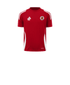 adidas Tiro 24 Trikot Kids Rot Weiss