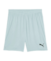 PUMA TeamGOAL Short Grün F41