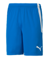 PUMA teamLIGA Shorts Blau F02